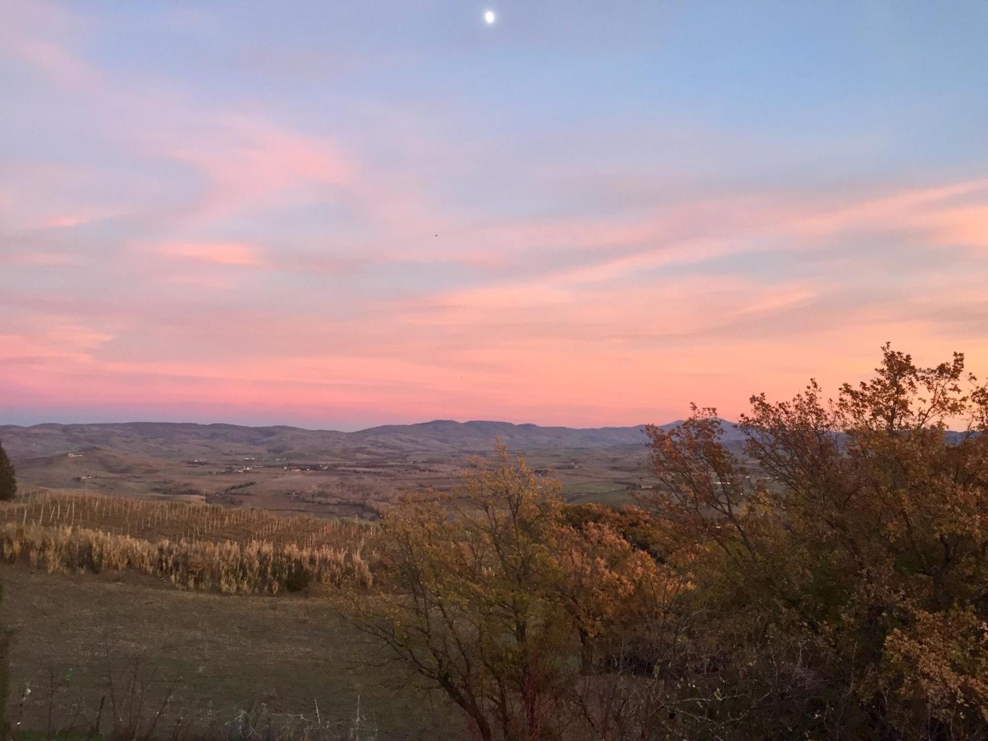 Agriturismo Le Querciole In Val D'Orcia บาโญวีโญนี ภายนอก รูปภาพ