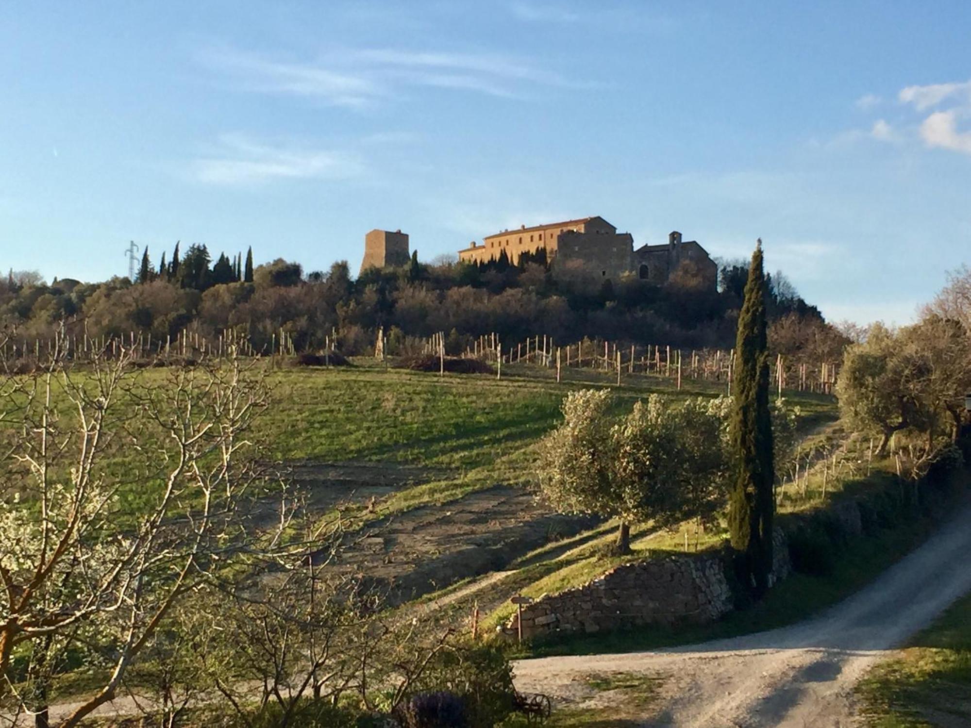 Agriturismo Le Querciole In Val D'Orcia บาโญวีโญนี ภายนอก รูปภาพ